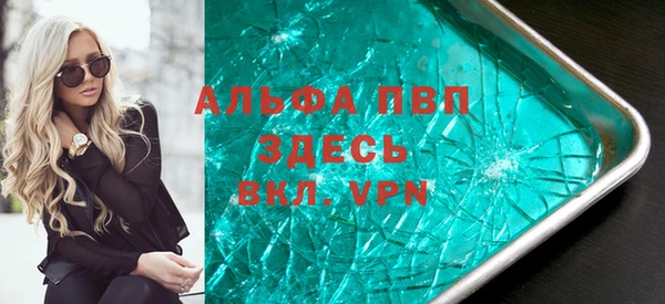 ПСИЛОЦИБИНОВЫЕ ГРИБЫ Пересвет